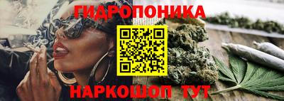 твердый Ярославль