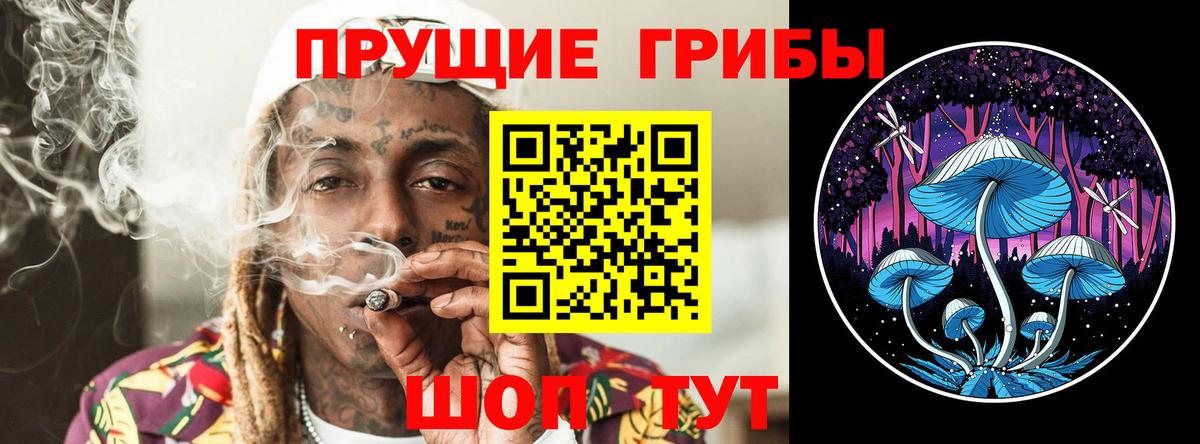 Кимры  Псилоцибиновые грибы ЛСД  Вход с VPN  Псилоцибиновые грибы мицелий 