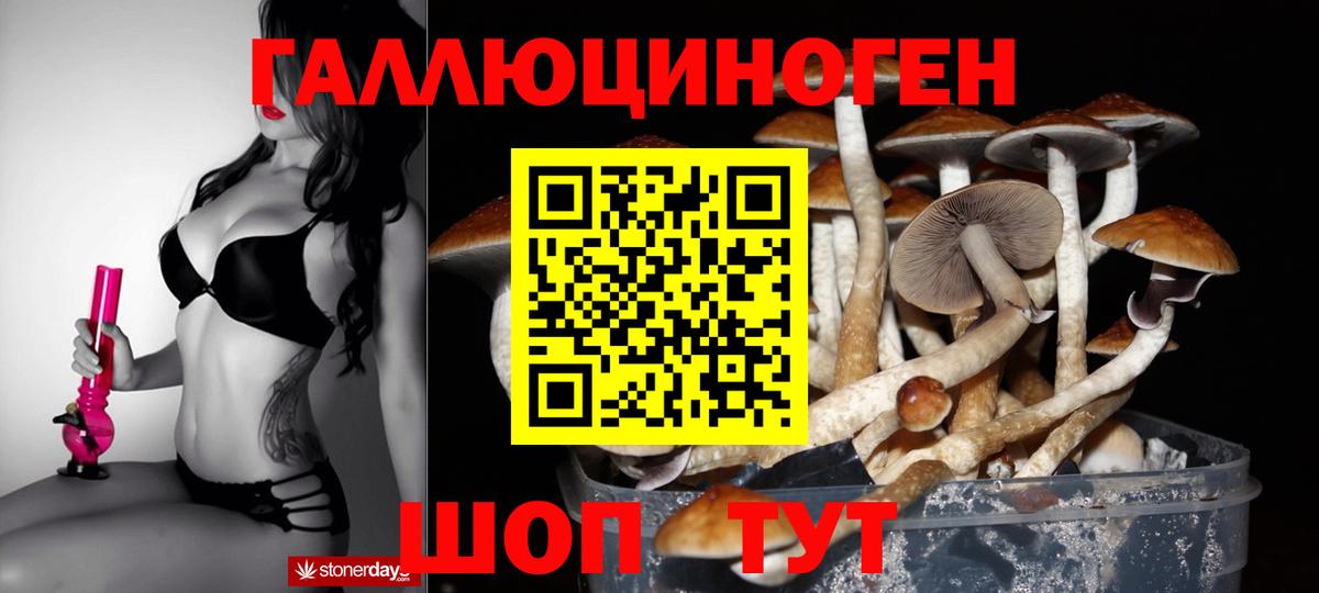 Галлюциногенные грибы GOLDEN TEACHER Кимры