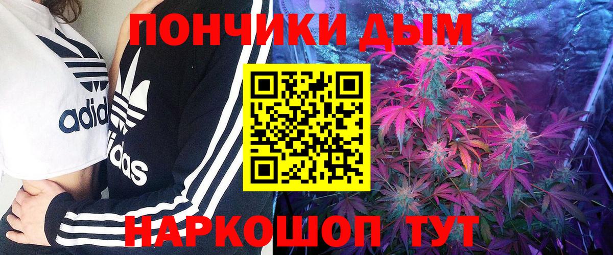 Канабис тримм  Бошки марихуана Ganja  Кимры  Вход с VPN  МАРИХУАНА Amnesia  МАРИХУАНА VHQ 